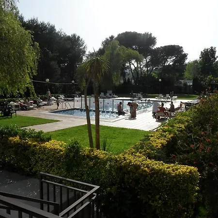 Mariposas 4*